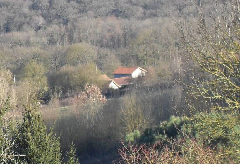 פנסיון Maison D Hôtes L Apauje