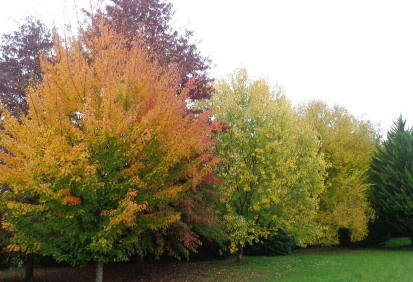 بنسيون Maison D Hôtes L Apauje