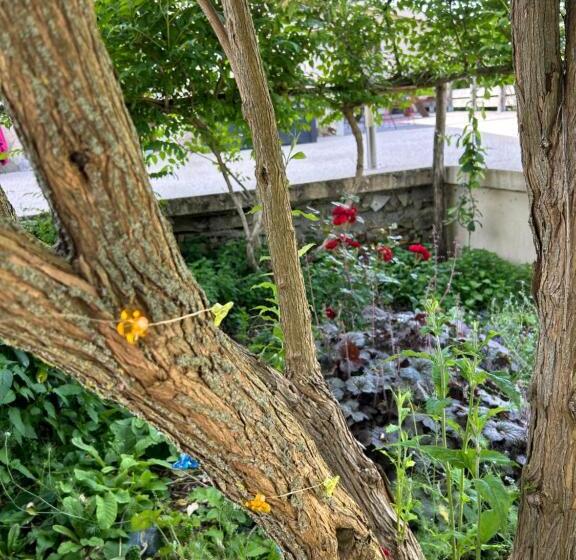 פנסיון Pivoine Chambre D Hotes