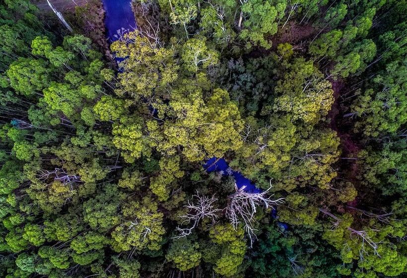 Saintys Creek Cottage