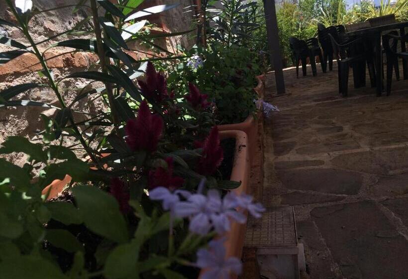 Società Agricola Mg Florplant