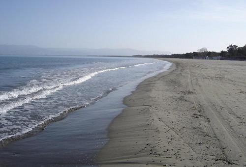 Società Agricola Mg Florplant