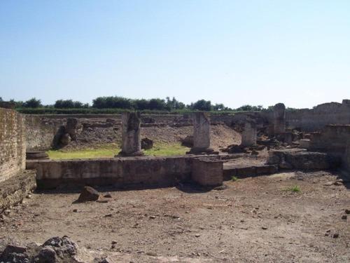 Società Agricola Mg Florplant