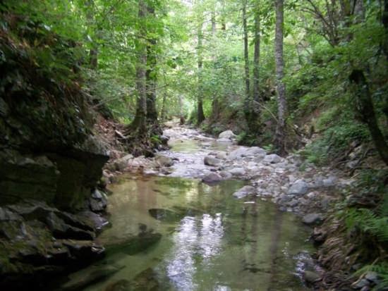 Società Agricola Mg Florplant