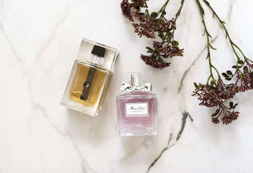 The Woods Farm Jervis Bay