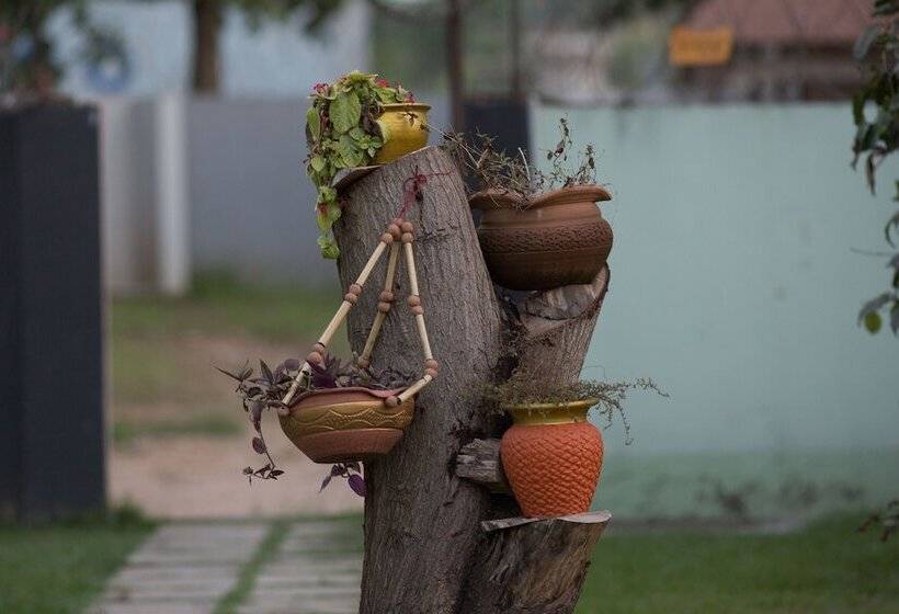 Traveller's Palm Court