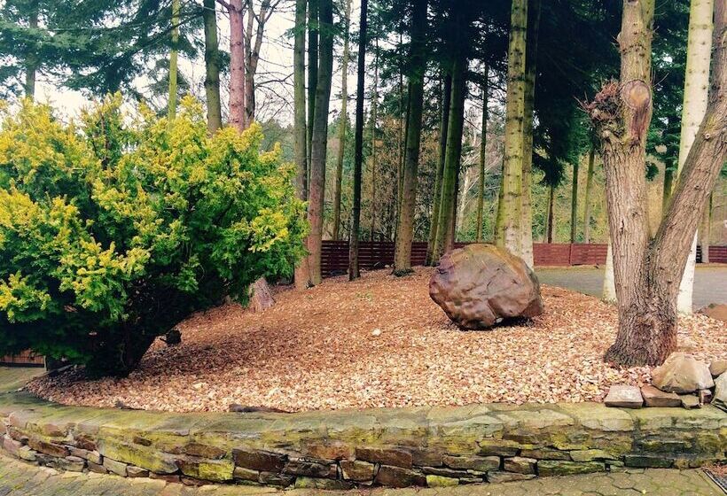 Waldhotel König Von Rom