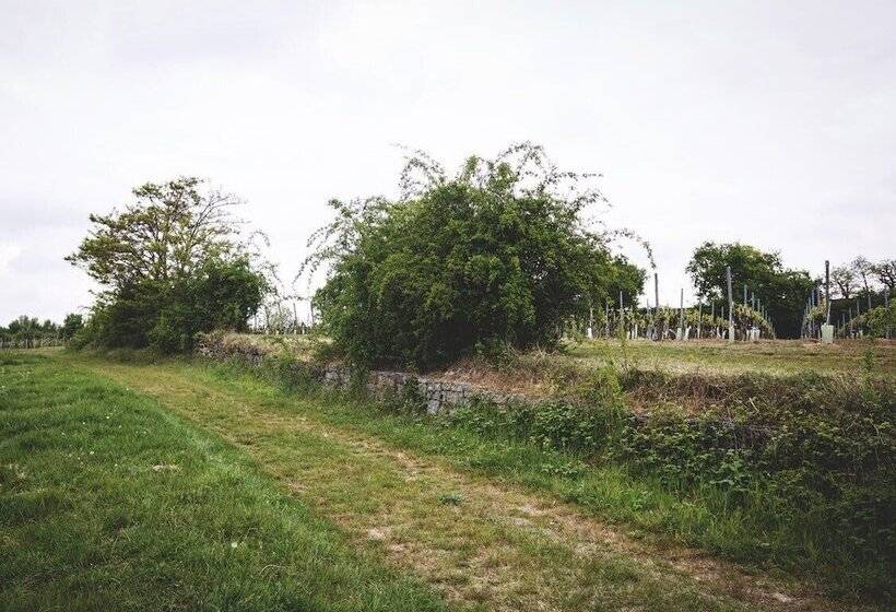Weingut & Landhotel Lucashof