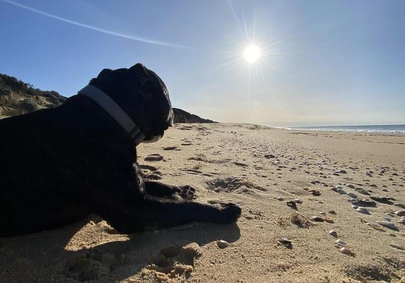 90 Mile Beach House & Villas