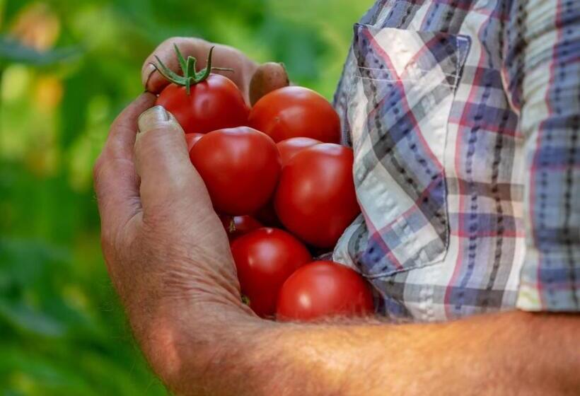 Agriturismo Terrerosse Di Massadita