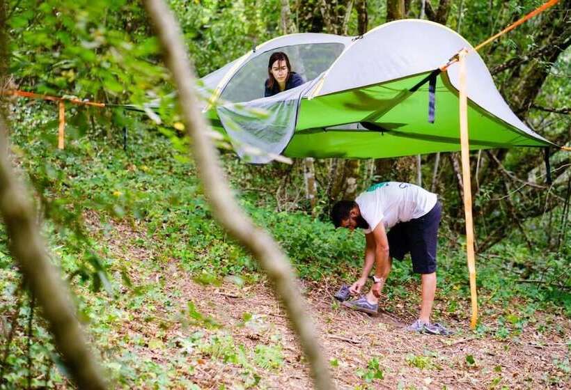 Albergue A Fábrica Da Luz   Hostel