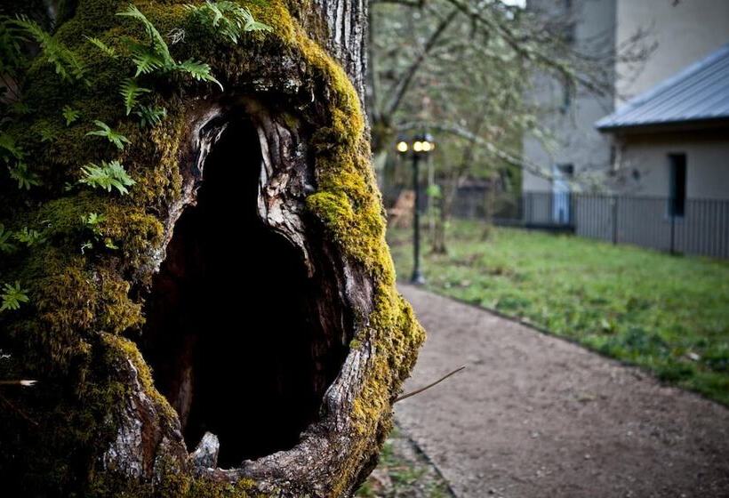 Albergue A Fábrica Da Luz   Hostel