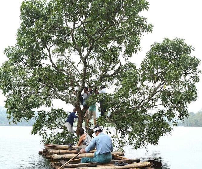 Arayal Resorts: A Unit Of Sharoy Resort, Wayanad