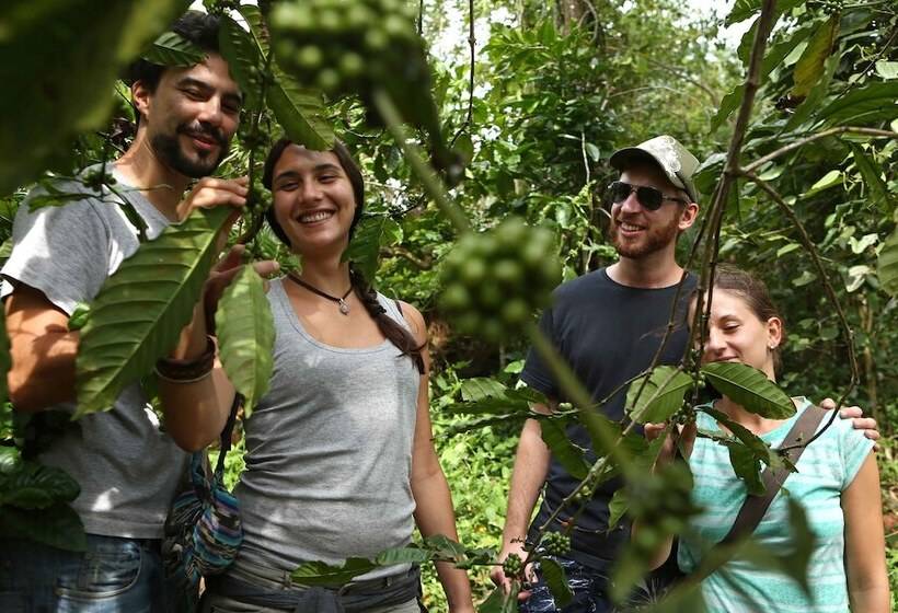 Arayal Resorts: A Unit Of Sharoy Resort, Wayanad