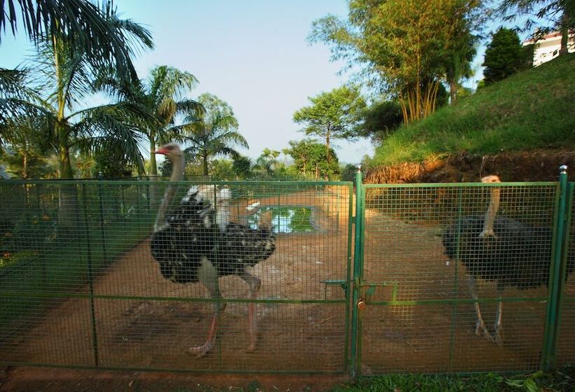 Arayal Resorts: A Unit Of Sharoy Resort, Wayanad