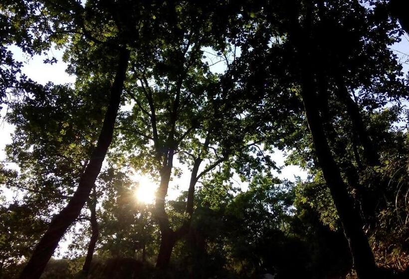 ベッドアンドブレックファースト Casale I Cirillo