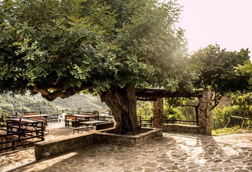 住宿加早餐  Casale I Cirillo