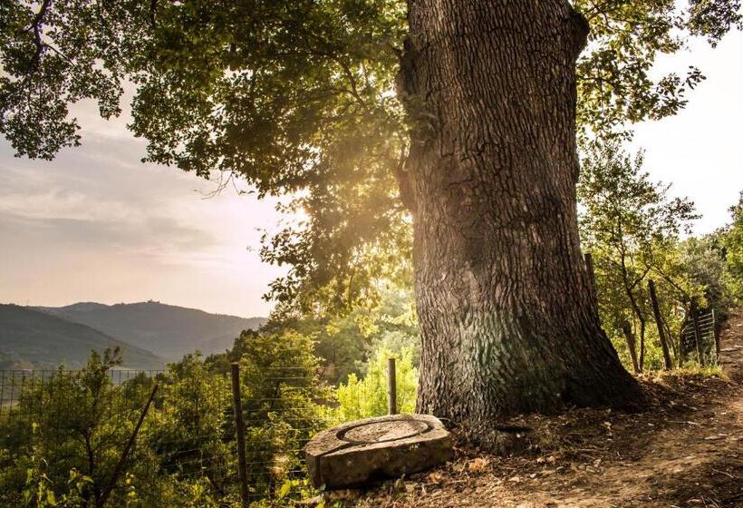 住宿加早餐  Casale I Cirillo