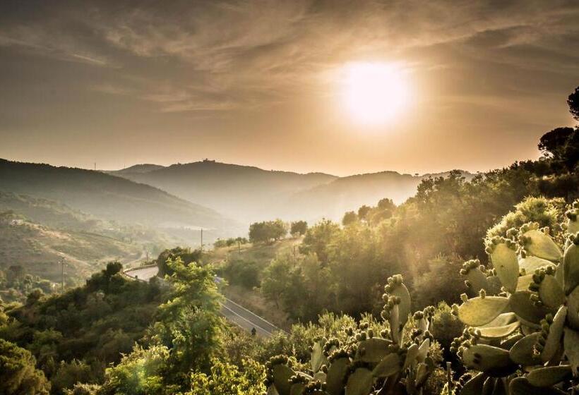 住宿加早餐  Casale I Cirillo