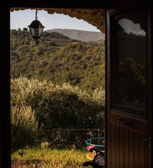 住宿加早餐  Casale I Cirillo