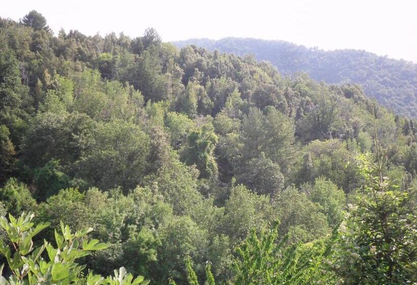 민박 Chambre D Hotes La Marlotte