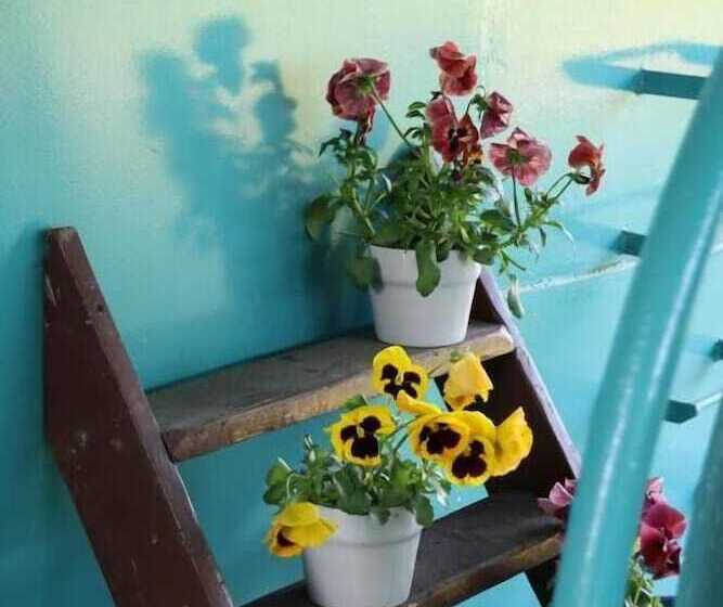 Bed and Breakfast Chambre D Hôtes Peniche Ophrys