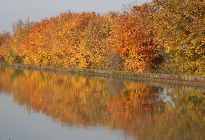 Bed and Breakfast Chambre D Hôtes Peniche Ophrys