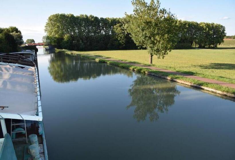 Bed and Breakfast Chambre D Hôtes Peniche Ophrys