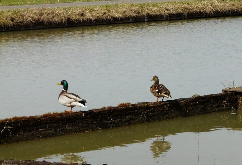 Bed and Breakfast Chambre D Hôtes Peniche Ophrys