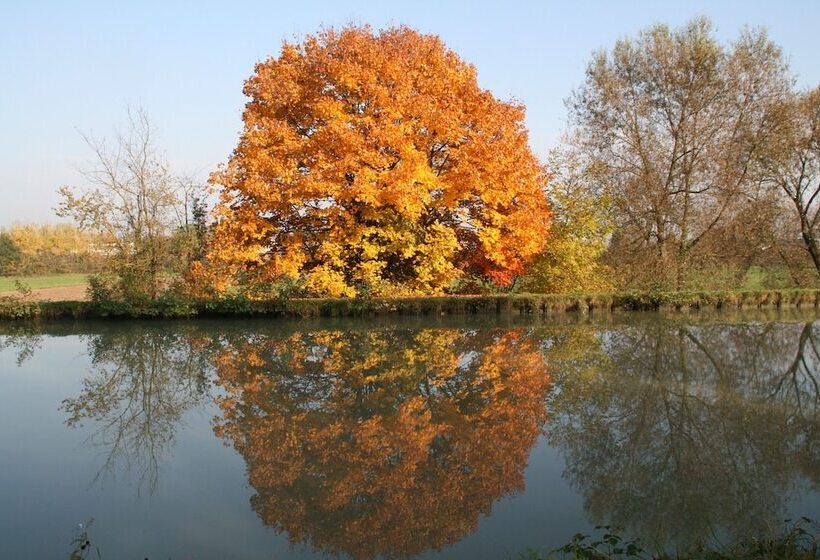 Bed and Breakfast Chambre D Hôtes Peniche Ophrys