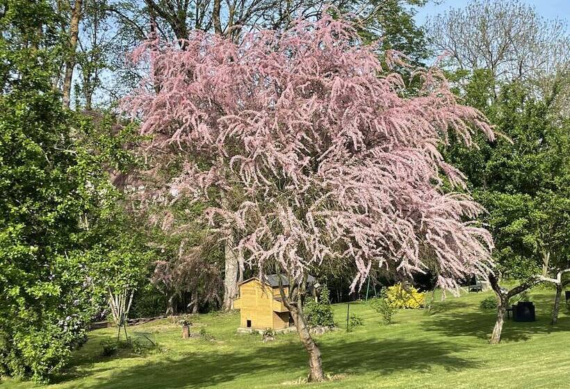 Bed and Breakfast Chambres D Hotes L Oree Des Vignes