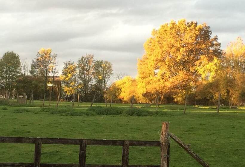 Bed and Breakfast Chambres D Hotes L Oree Des Vignes