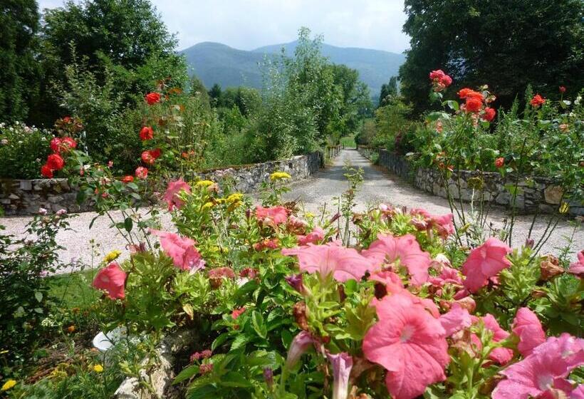 צימר Domaine Vega