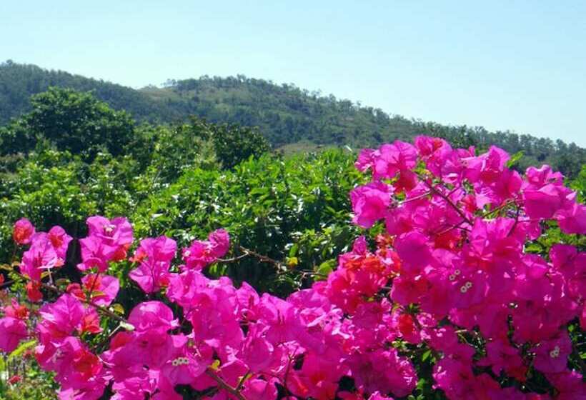 مبيت وإفطار Eastwood Farm