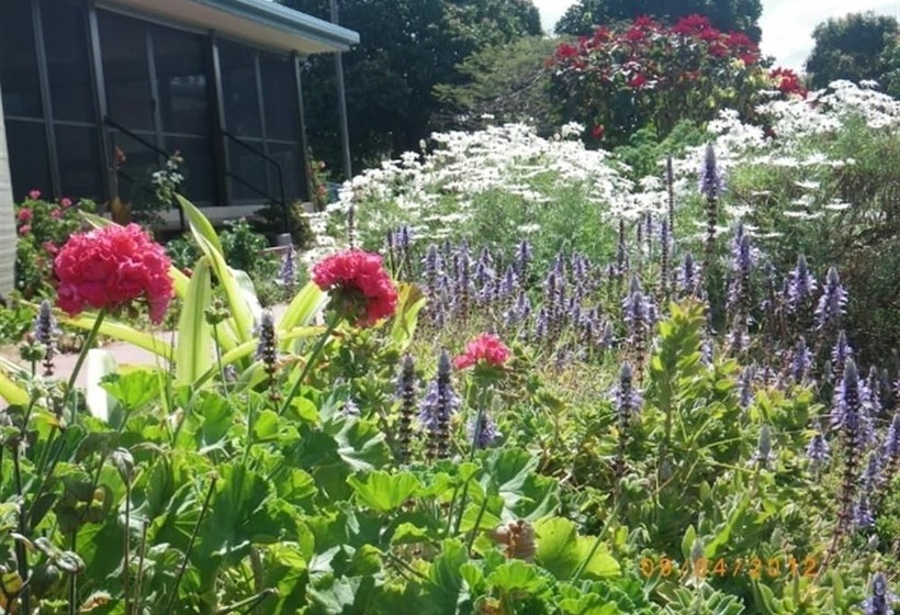 مبيت وإفطار Eastwood Farm