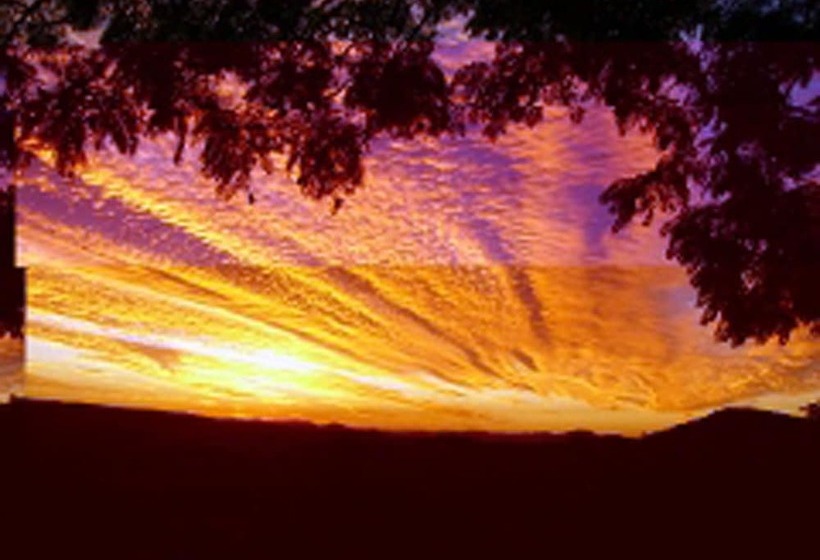 مبيت وإفطار Eastwood Farm