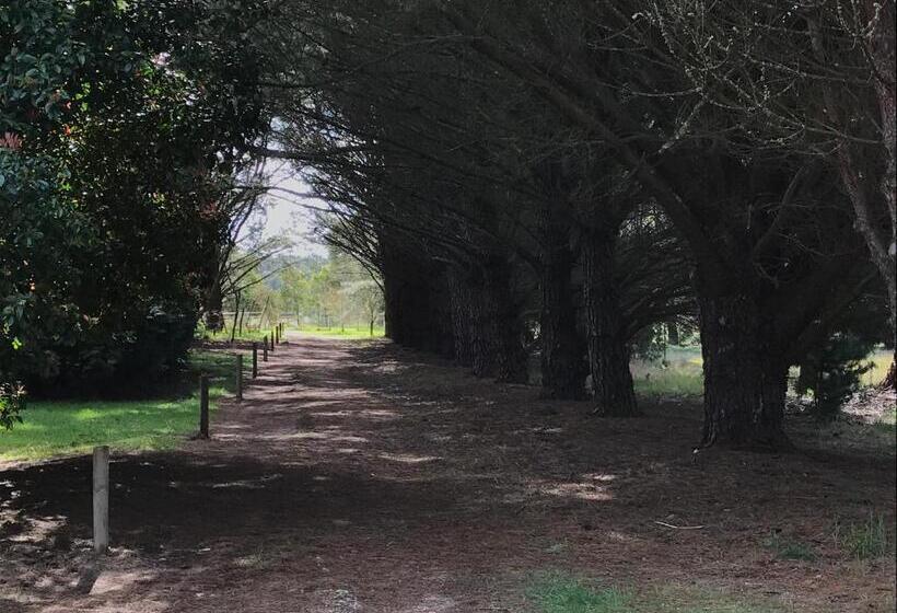 צימר Helen S Homestead