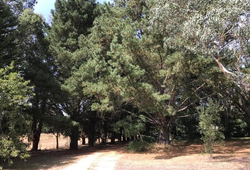 צימר Helen S Homestead