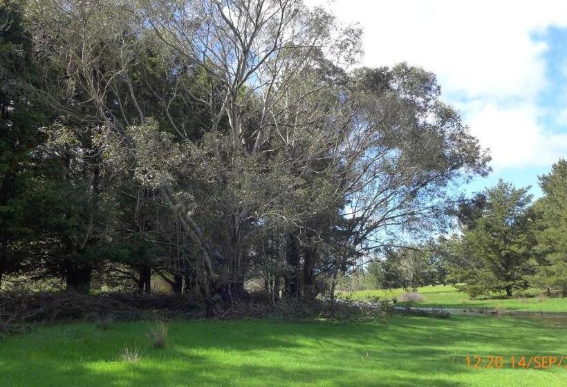 צימר Helen S Homestead