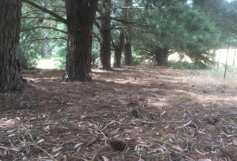 צימר Helen S Homestead