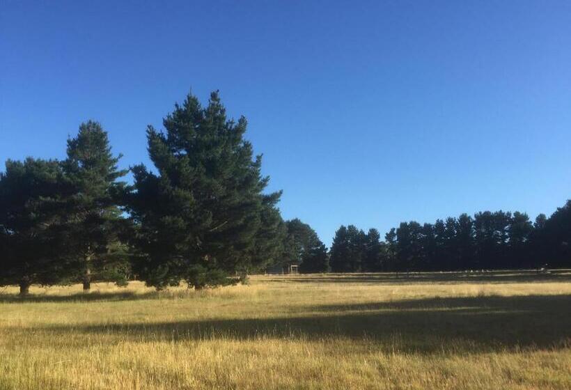 צימר Helen S Homestead