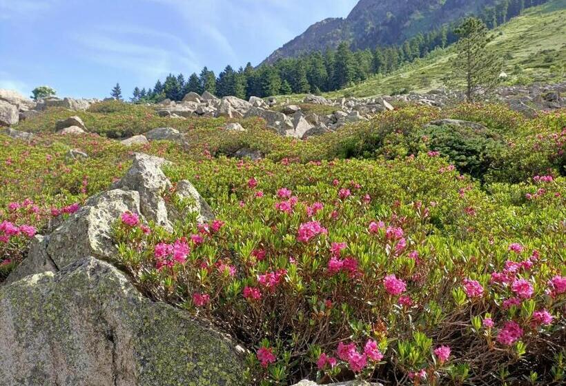 Le Balcon Des Cimes B&b