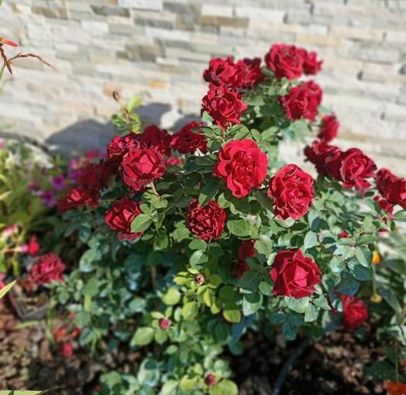 Le Balcon Des Cimes B&b