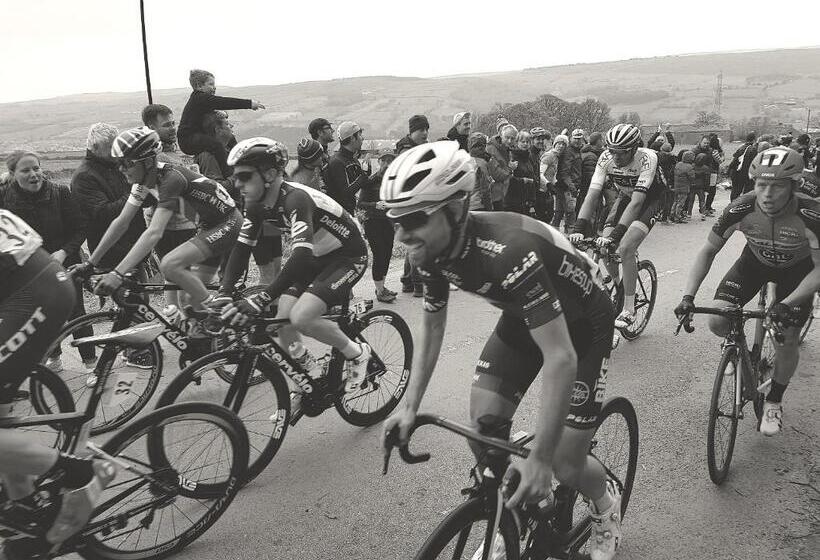 تختخواب و صبحانه Lyndene