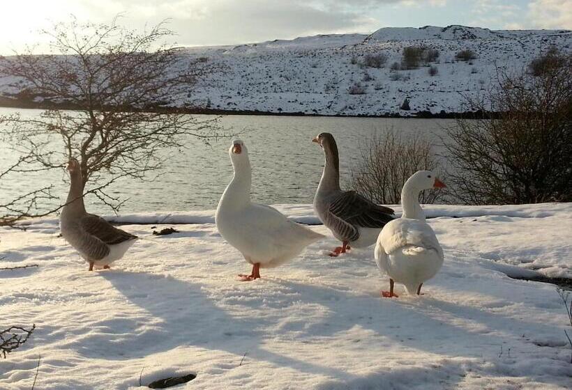 تختخواب و صبحانه Lyndene