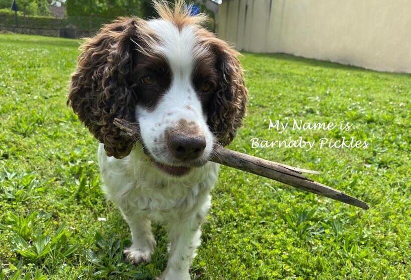 مبيت وإفطار Maison Mûrier