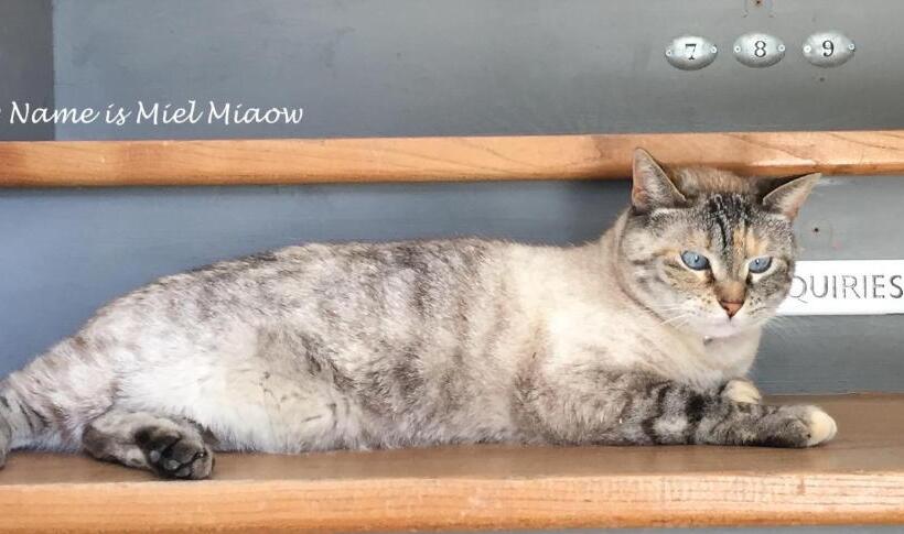 مبيت وإفطار Maison Mûrier