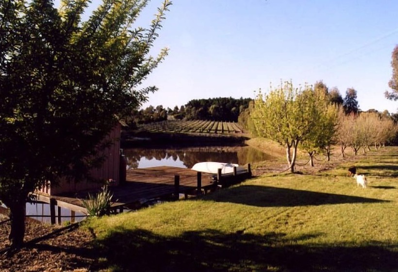 مبيت وإفطار Patly Hill Farm