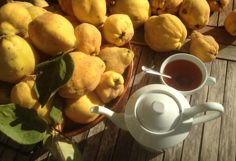 مبيت وإفطار Résidence Crone