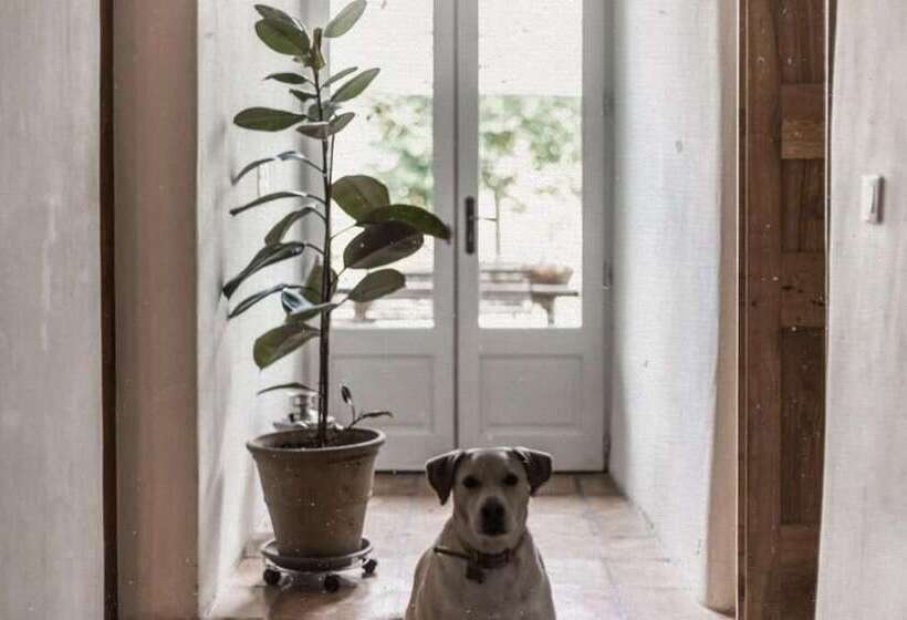 مبيت وإفطار Résidence Crone